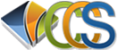 Custom Chemical Services Logo